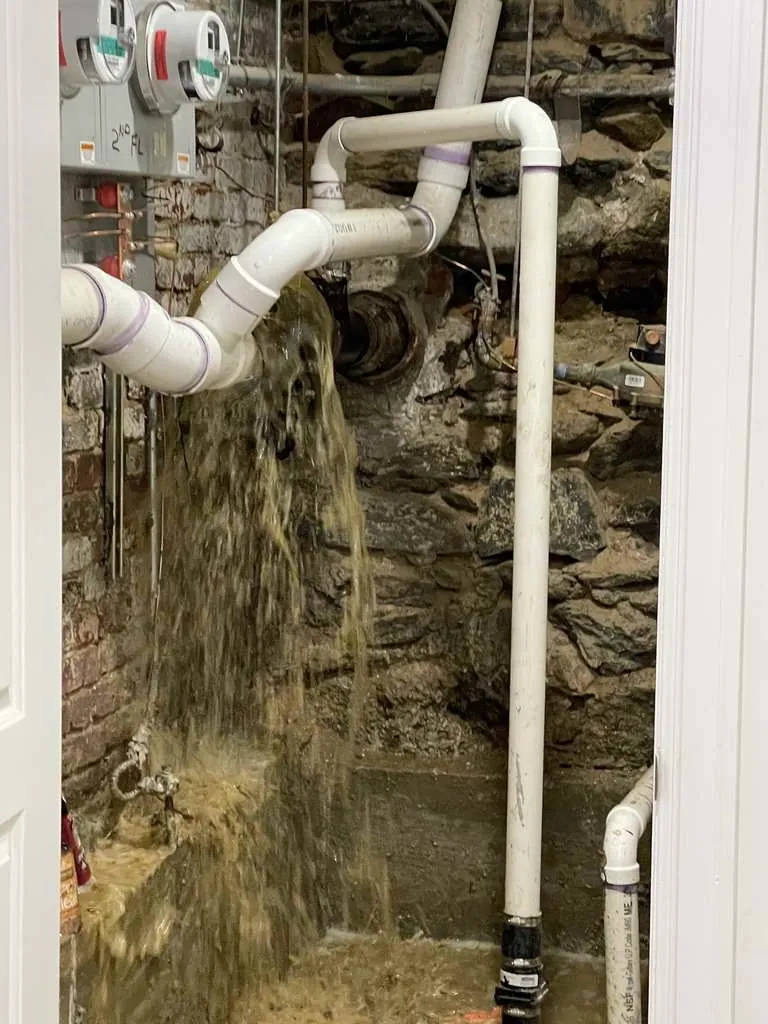 Category 3 sewage backup response