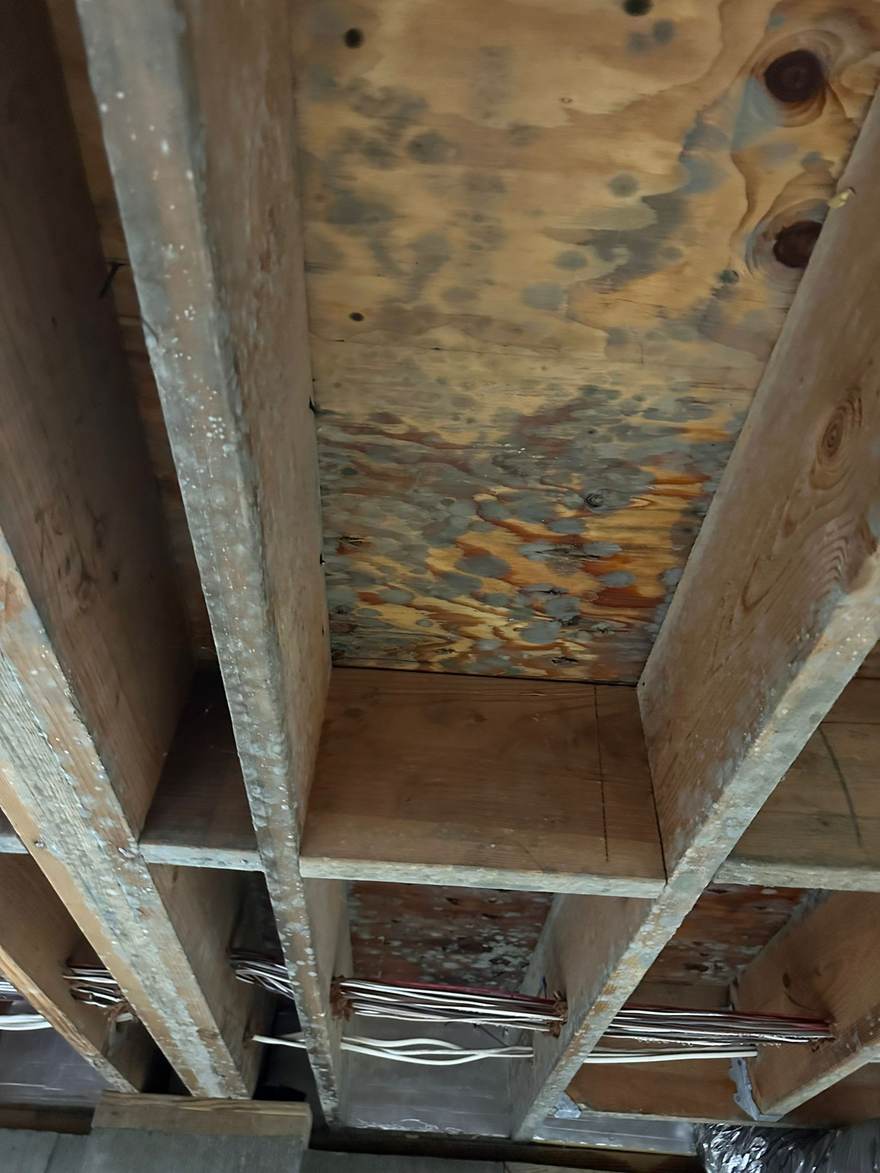 Mold and water staining across the underside of the subfloor in Brooklyn, NY
